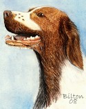 Retriever